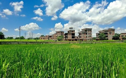 大香蕉操逼视频和生物大香蕉操逼视频發展前景